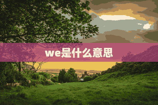 we是什么意思(we是什么意思英语)